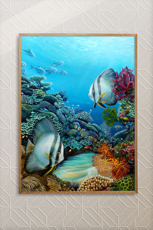 Original Coral Reef Art Print - A Little Look Around